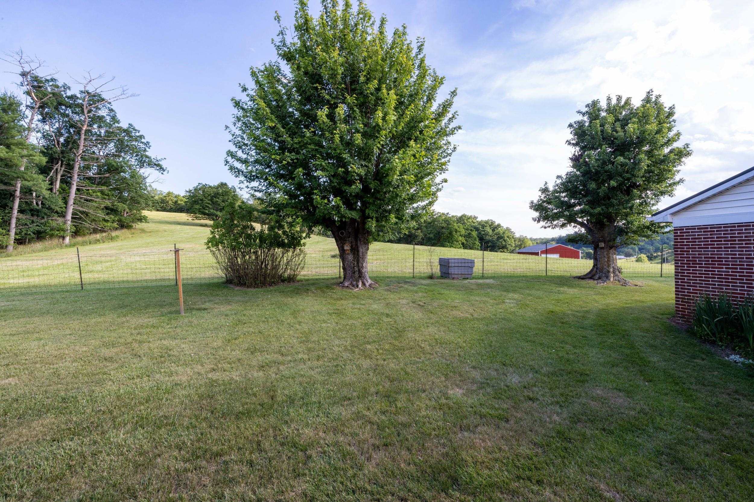 12199 HOLLOW RD, FULKS RUN, Virginia 22830, 3 Bedrooms Bedrooms, ,1 BathroomBathrooms,Residential,12199 HOLLOW RD,678960 MLS # 678960