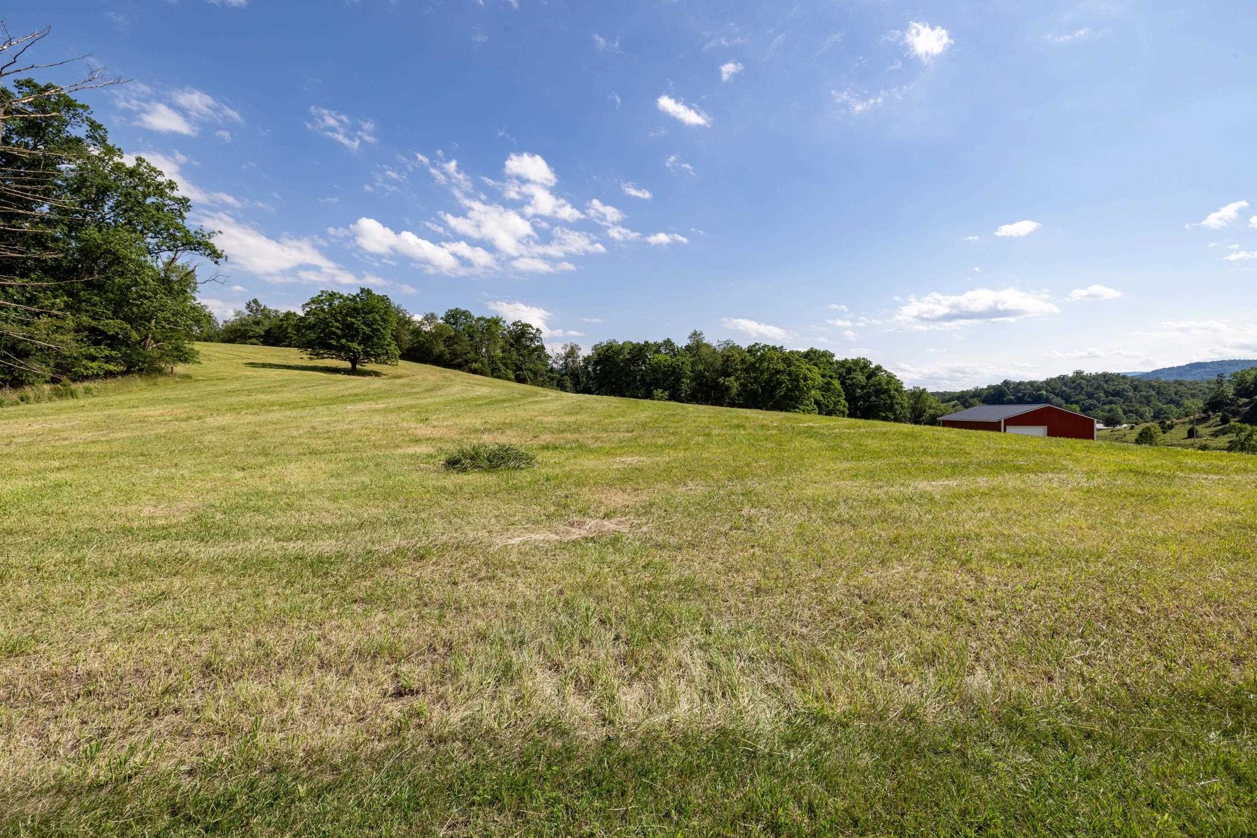 12199 HOLLOW RD, FULKS RUN, Virginia 22830, 3 Bedrooms Bedrooms, ,1 BathroomBathrooms,Residential,12199 HOLLOW RD,678960 MLS # 678960