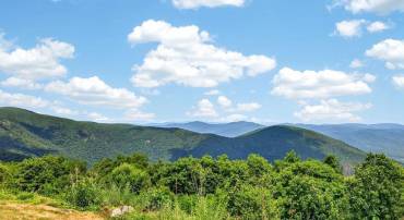 1826 HIGH RIDGE CT CONDOS, WINTERGREEN RESORT, Virginia 22967, 2 Bedrooms Bedrooms, ,2 BathroomsBathrooms,Residential,1826 HIGH RIDGE CT CONDOS,678972 MLS # 678972