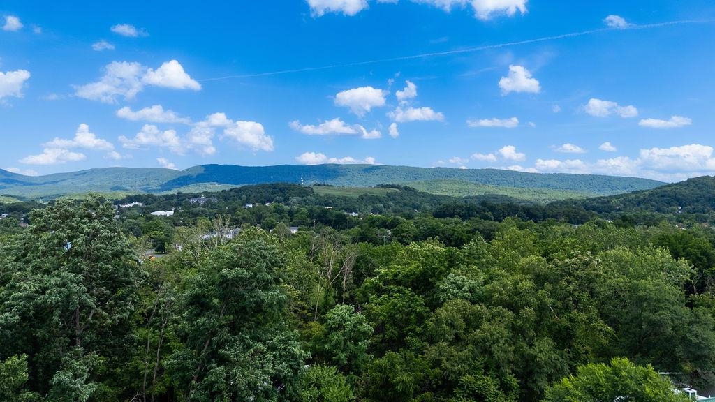 280 PORT REPUBLIC RD, WAYNESBORO, Virginia 22980, 3 Bedrooms Bedrooms, ,1 BathroomBathrooms,Residential,280 PORT REPUBLIC RD,678979 MLS # 678979