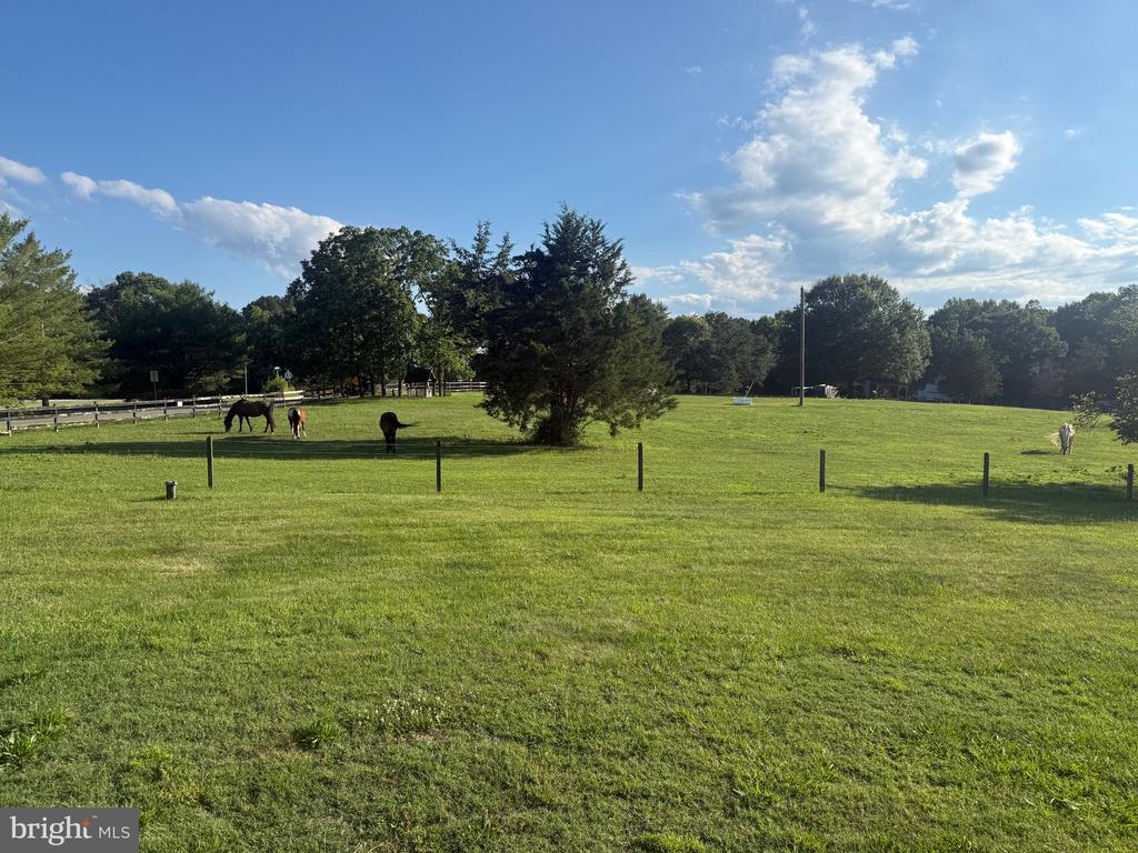 3472 ROCK RUN RD, GOLDVEIN, Virginia 22720, 3 Bedrooms Bedrooms, ,2 BathroomsBathrooms,Residential,3472 ROCK RUN RD,VAFQ2022650 MLS # VAFQ2022650