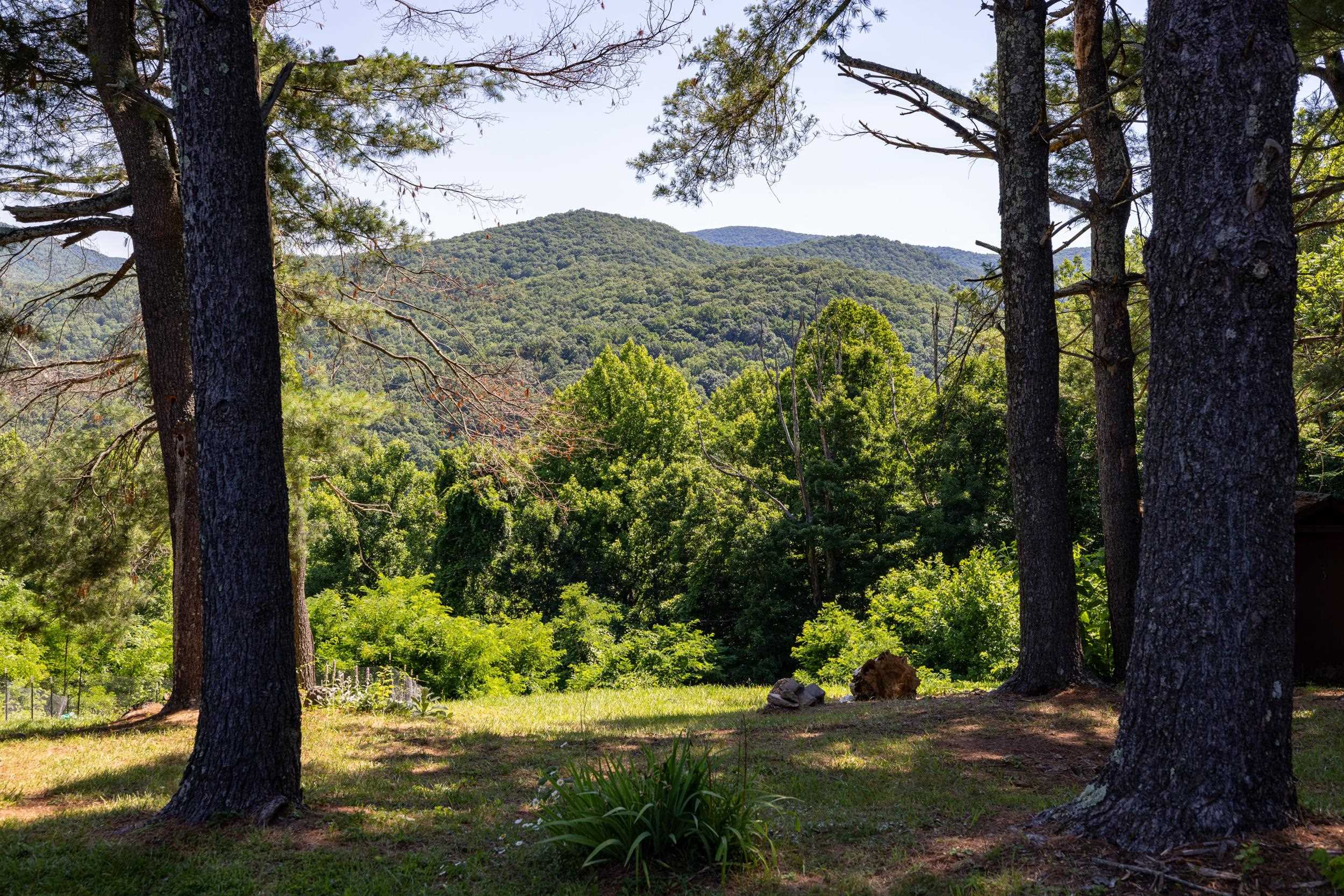 1093 OVERLOOK MOUNTAIN RD, ELKTON, Virginia 22827, 2 Bedrooms Bedrooms, ,1 BathroomBathrooms,Residential,1093 OVERLOOK MOUNTAIN RD,678988 MLS # 678988 1093 OVERLOOK MOUNTAIN RD, ELKTON, Virginia 22827, 2 Bedrooms Bedrooms, ,1 BathroomBathrooms,Residential,1093 OVERLOOK MOUNTAIN RD,678988 MLS # 678988