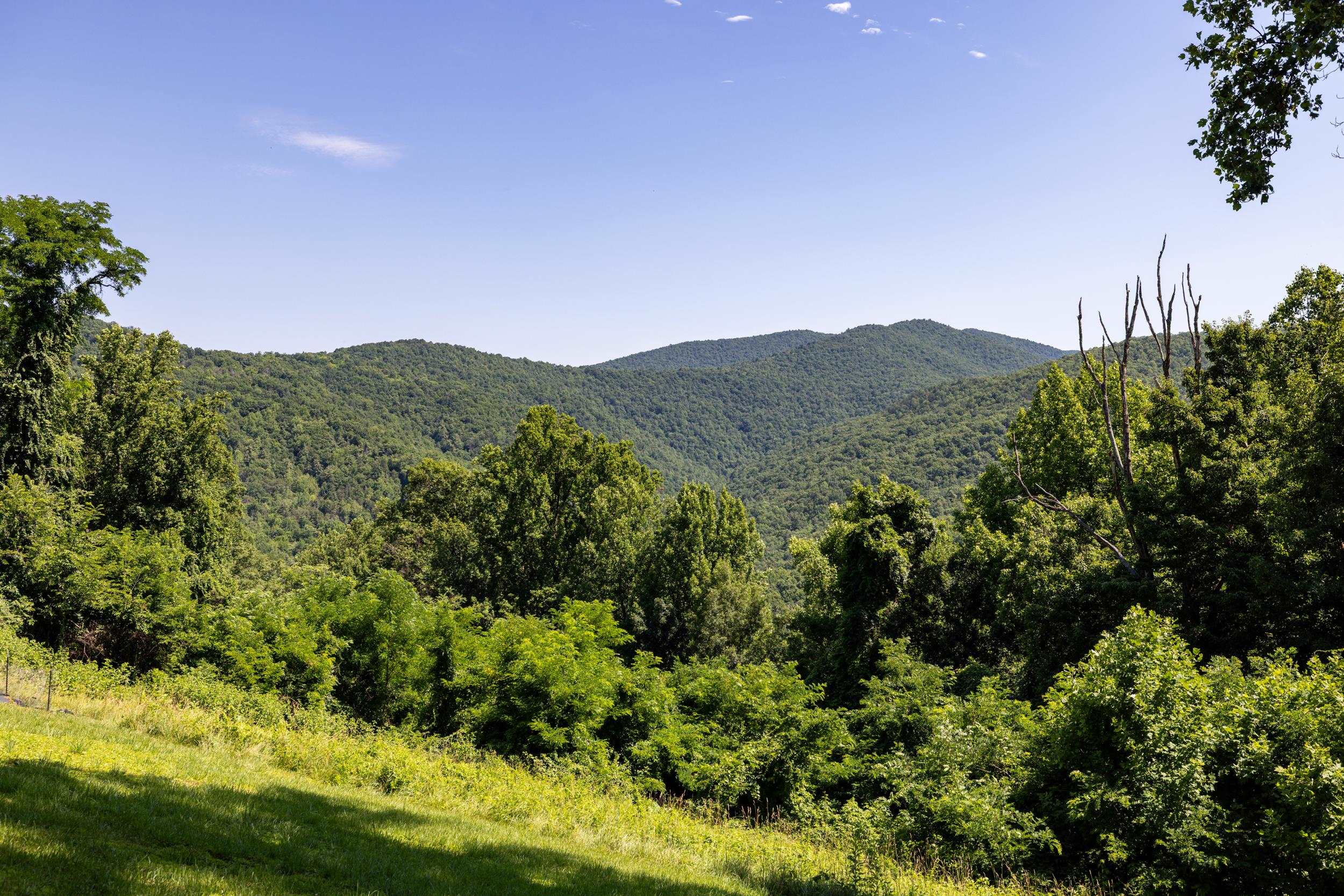 1093 OVERLOOK MOUNTAIN RD, ELKTON, Virginia 22827, 2 Bedrooms Bedrooms, ,1 BathroomBathrooms,Residential,1093 OVERLOOK MOUNTAIN RD,678988 MLS # 678988 1093 OVERLOOK MOUNTAIN RD, ELKTON, Virginia 22827, 2 Bedrooms Bedrooms, ,1 BathroomBathrooms,Residential,1093 OVERLOOK MOUNTAIN RD,678988 MLS # 678988