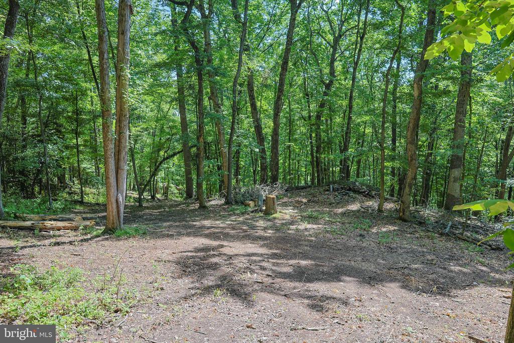 COMPTONS RD, CASTLETON, Virginia 22716, ,Land,COMPTONS RD,VARP2002680 MLS # VARP2002680 COMPTONS RD, CASTLETON, Virginia 22716, ,Land,COMPTONS RD,VARP2002680 MLS # VARP2002680