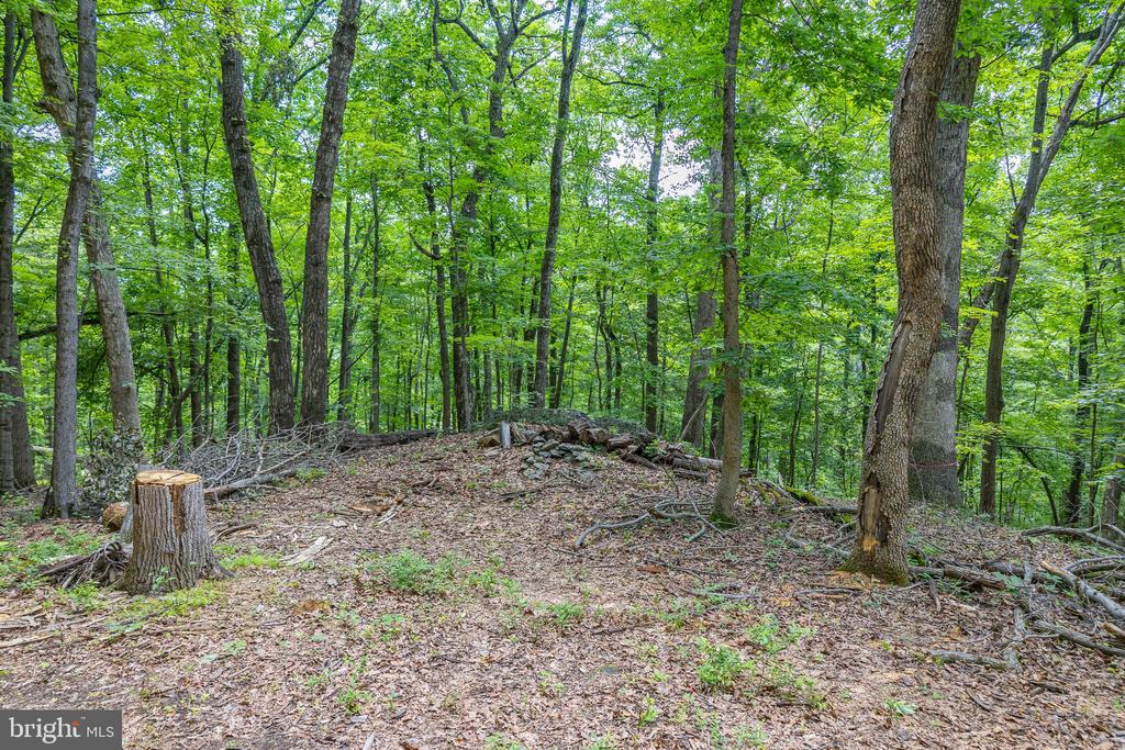 COMPTONS RD, CASTLETON, Virginia 22716, ,Land,COMPTONS RD,VARP2002680 MLS # VARP2002680 COMPTONS RD, CASTLETON, Virginia 22716, ,Land,COMPTONS RD,VARP2002680 MLS # VARP2002680