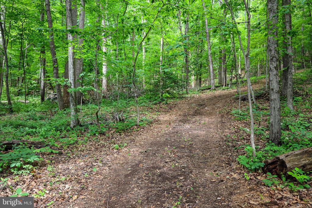 COMPTONS RD, CASTLETON, Virginia 22716, ,Land,COMPTONS RD,VARP2002680 MLS # VARP2002680 COMPTONS RD, CASTLETON, Virginia 22716, ,Land,COMPTONS RD,VARP2002680 MLS # VARP2002680