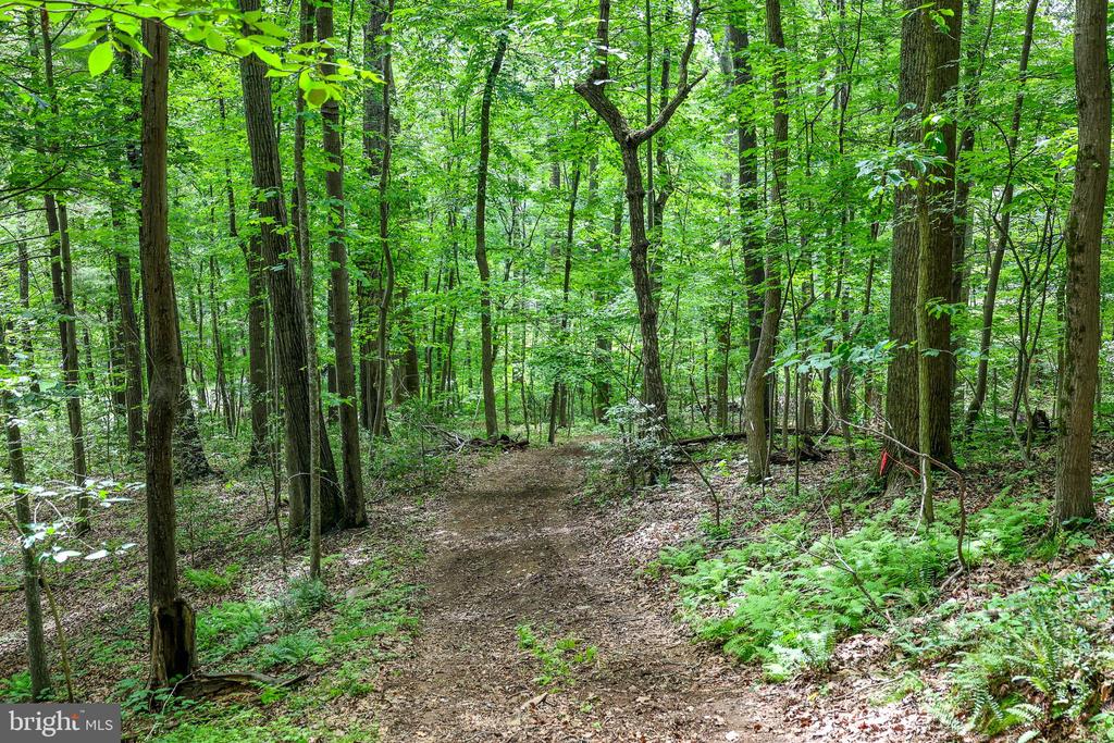 COMPTONS RD, CASTLETON, Virginia 22716, ,Land,COMPTONS RD,VARP2002680 MLS # VARP2002680 COMPTONS RD, CASTLETON, Virginia 22716, ,Land,COMPTONS RD,VARP2002680 MLS # VARP2002680