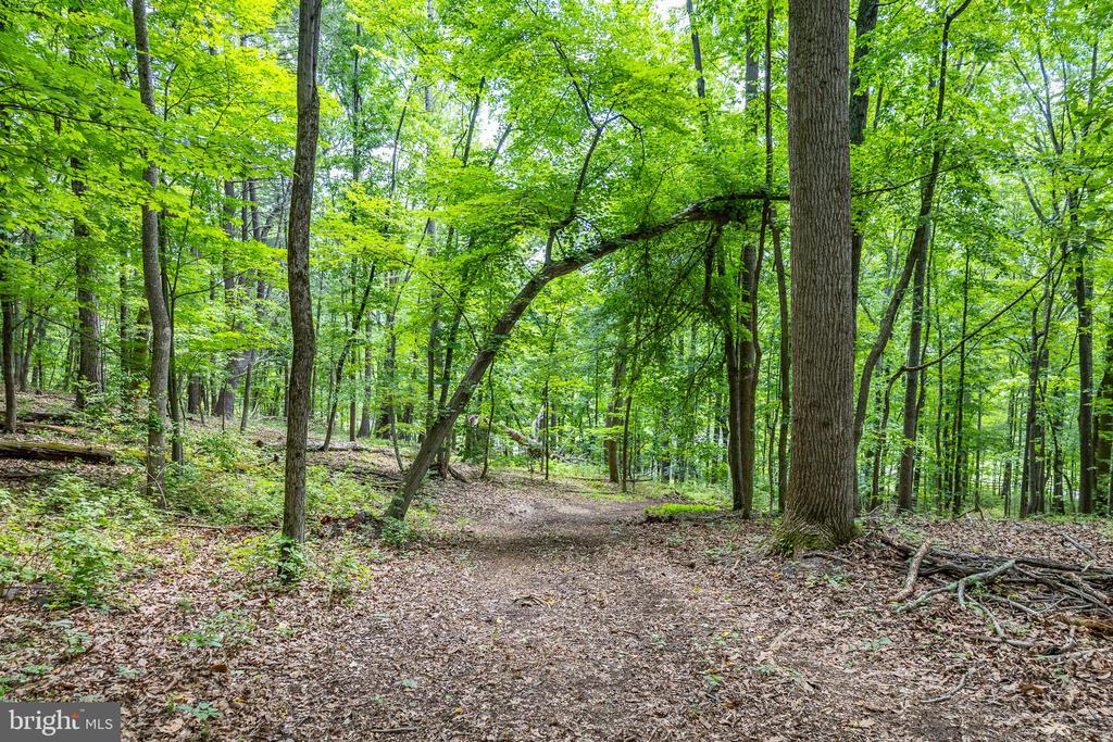 COMPTONS RD, CASTLETON, Virginia 22716, ,Land,COMPTONS RD,VARP2002680 MLS # VARP2002680 COMPTONS RD, CASTLETON, Virginia 22716, ,Land,COMPTONS RD,VARP2002680 MLS # VARP2002680