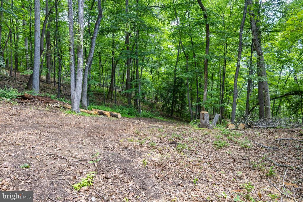 COMPTONS RD, CASTLETON, Virginia 22716, ,Land,COMPTONS RD,VARP2002680 MLS # VARP2002680 COMPTONS RD, CASTLETON, Virginia 22716, ,Land,COMPTONS RD,VARP2002680 MLS # VARP2002680