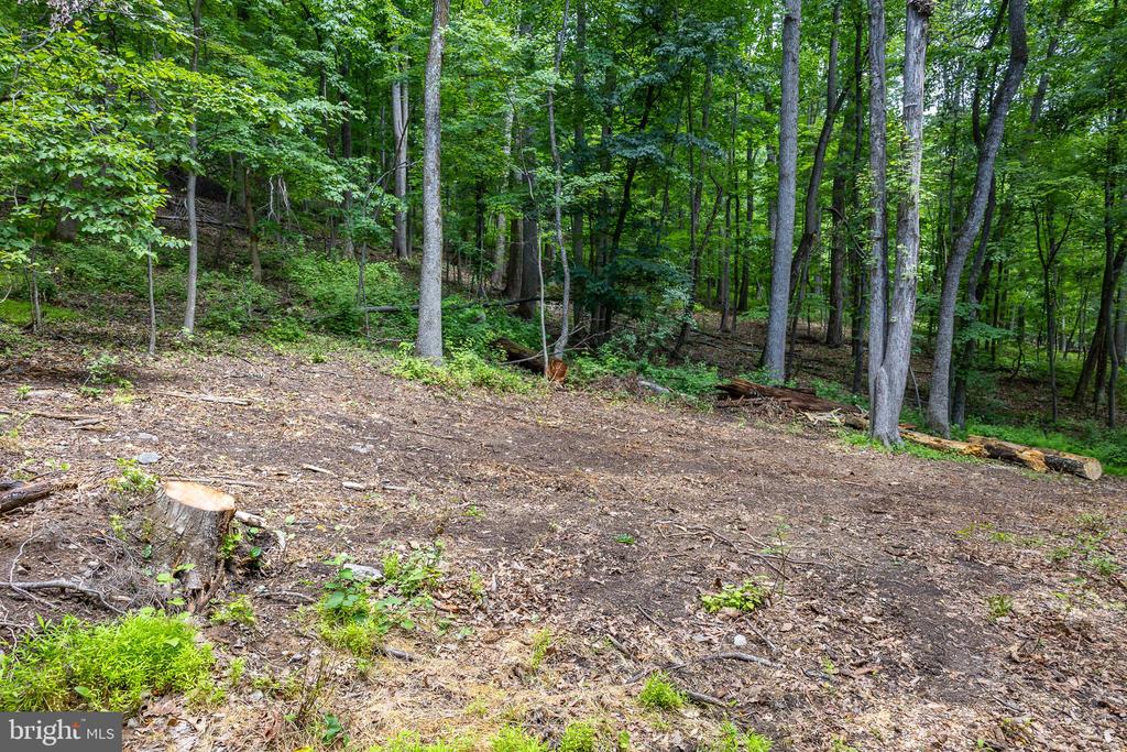 COMPTONS RD, CASTLETON, Virginia 22716, ,Land,COMPTONS RD,VARP2002680 MLS # VARP2002680 COMPTONS RD, CASTLETON, Virginia 22716, ,Land,COMPTONS RD,VARP2002680 MLS # VARP2002680
