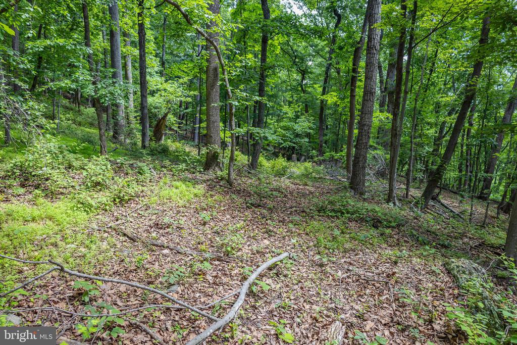 COMPTONS RD, CASTLETON, Virginia 22716, ,Land,COMPTONS RD,VARP2002680 MLS # VARP2002680 COMPTONS RD, CASTLETON, Virginia 22716, ,Land,COMPTONS RD,VARP2002680 MLS # VARP2002680