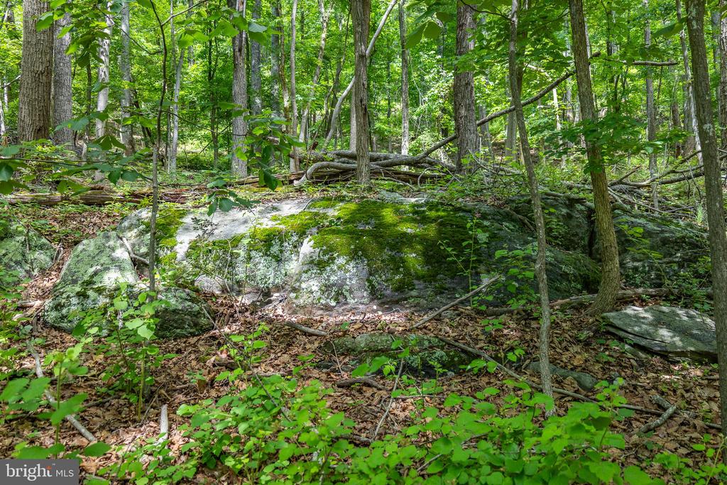COMPTONS RD, CASTLETON, Virginia 22716, ,Land,COMPTONS RD,VARP2002680 MLS # VARP2002680 COMPTONS RD, CASTLETON, Virginia 22716, ,Land,COMPTONS RD,VARP2002680 MLS # VARP2002680
