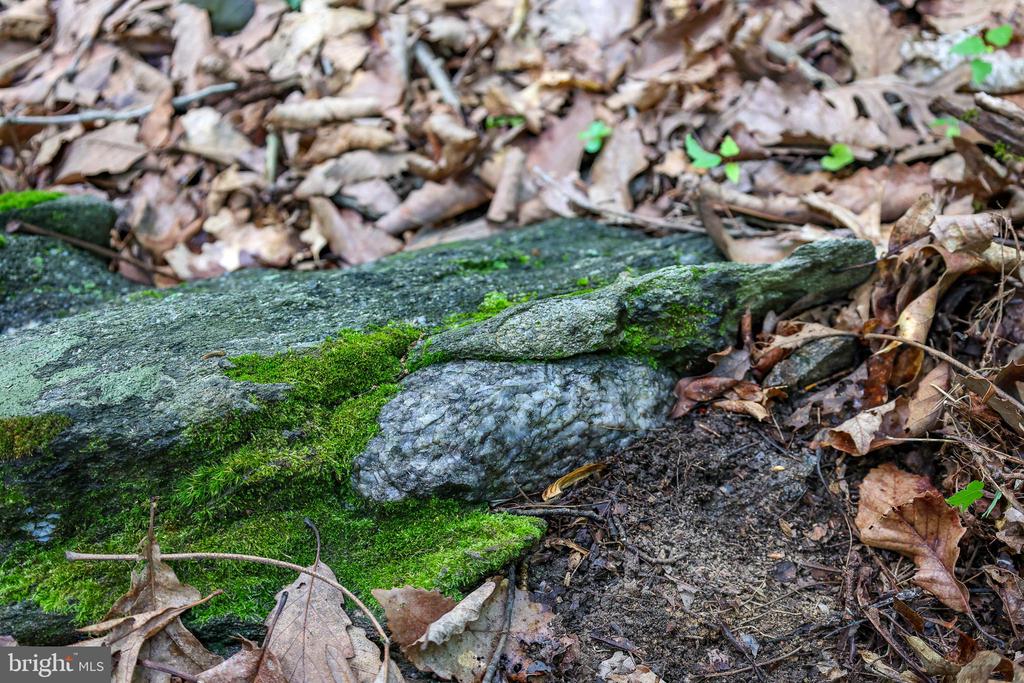 COMPTONS RD, CASTLETON, Virginia 22716, ,Land,COMPTONS RD,VARP2002680 MLS # VARP2002680 COMPTONS RD, CASTLETON, Virginia 22716, ,Land,COMPTONS RD,VARP2002680 MLS # VARP2002680