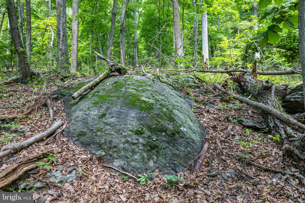 COMPTONS RD, CASTLETON, Virginia 22716, ,Land,COMPTONS RD,VARP2002680 MLS # VARP2002680 COMPTONS RD, CASTLETON, Virginia 22716, ,Land,COMPTONS RD,VARP2002680 MLS # VARP2002680