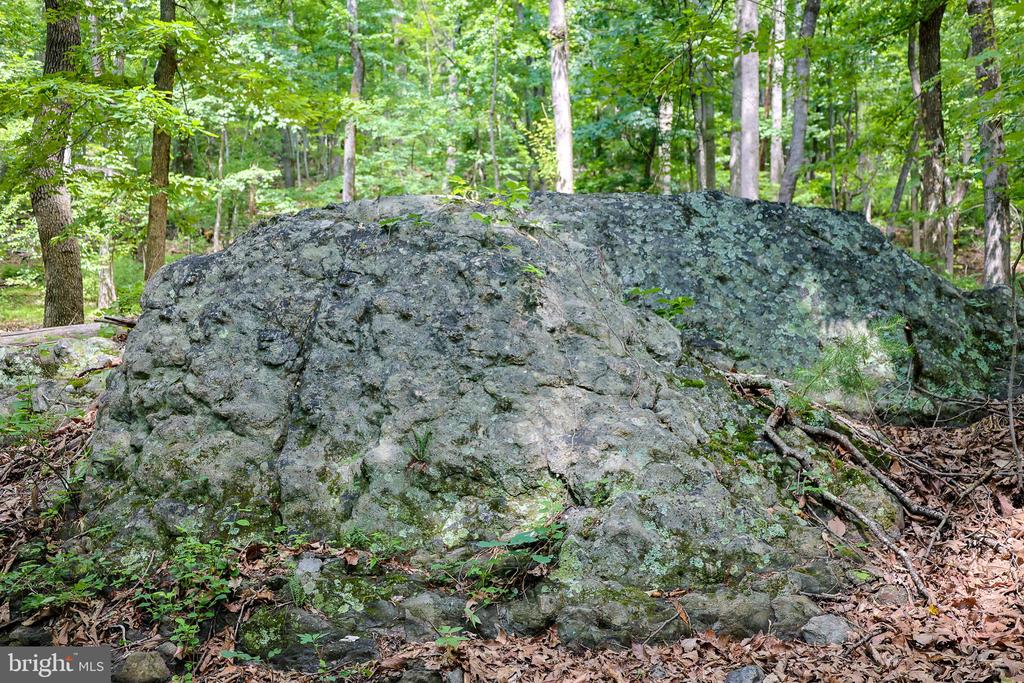 COMPTONS RD, CASTLETON, Virginia 22716, ,Land,COMPTONS RD,VARP2002680 MLS # VARP2002680 COMPTONS RD, CASTLETON, Virginia 22716, ,Land,COMPTONS RD,VARP2002680 MLS # VARP2002680