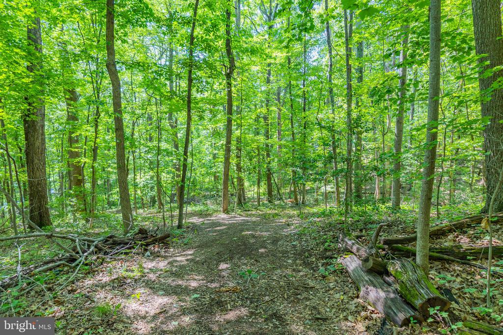 COMPTONS RD, CASTLETON, Virginia 22716, ,Land,COMPTONS RD,VARP2002680 MLS # VARP2002680 COMPTONS RD, CASTLETON, Virginia 22716, ,Land,COMPTONS RD,VARP2002680 MLS # VARP2002680