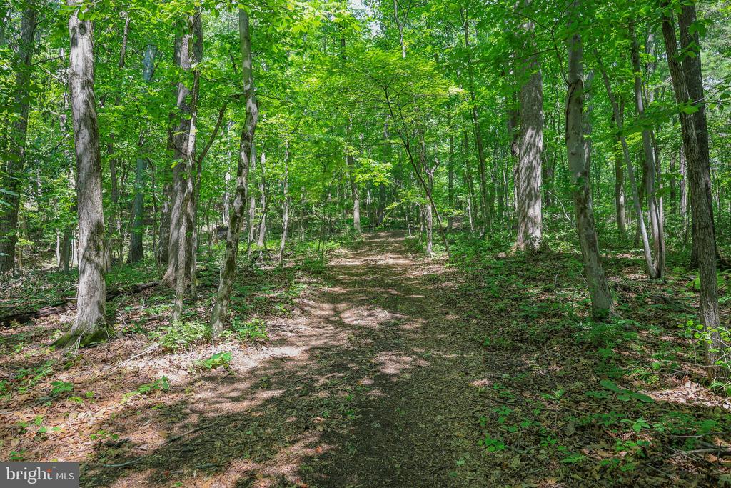 COMPTONS RD, CASTLETON, Virginia 22716, ,Land,COMPTONS RD,VARP2002680 MLS # VARP2002680 COMPTONS RD, CASTLETON, Virginia 22716, ,Land,COMPTONS RD,VARP2002680 MLS # VARP2002680