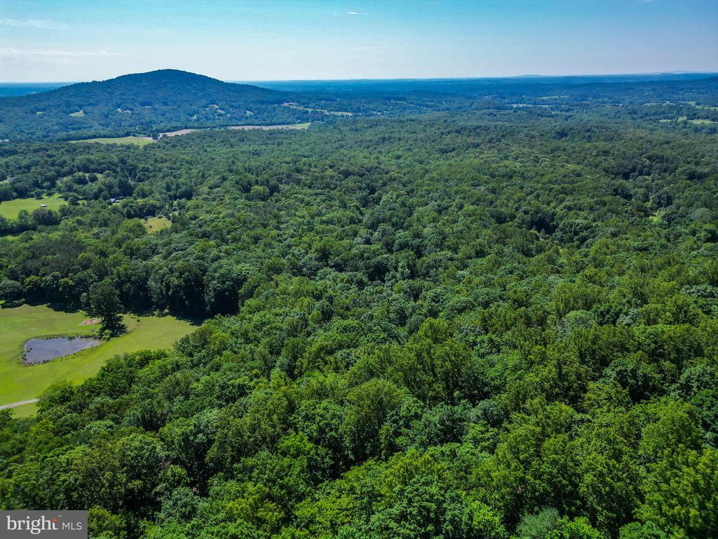 COMPTONS RD, CASTLETON, Virginia 22716, ,Land,COMPTONS RD,VARP2002680 MLS # VARP2002680 COMPTONS RD, CASTLETON, Virginia 22716, ,Land,COMPTONS RD,VARP2002680 MLS # VARP2002680