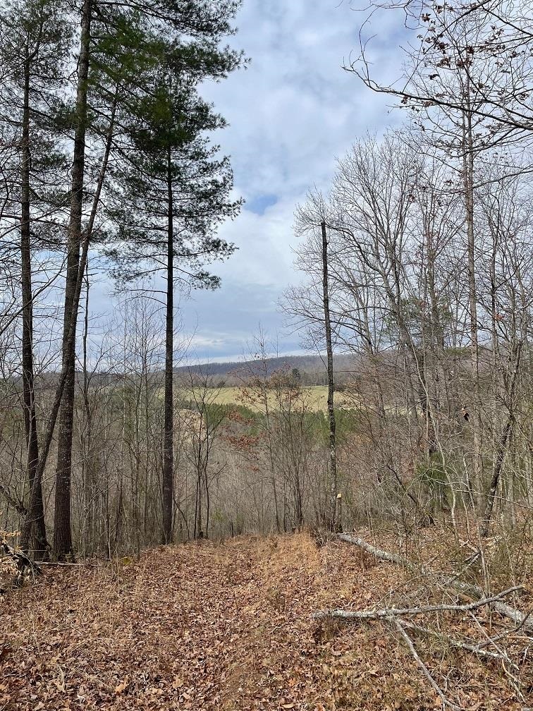 70-131 ESTALINE VALLEY RD, CRAIGSVILLE, Virginia 24430, ,Land,70-131 ESTALINE VALLEY RD,642126 MLS # 642126 70-131 ESTALINE VALLEY RD, CRAIGSVILLE, Virginia 24430, ,Land,70-131 ESTALINE VALLEY RD,642126 MLS # 642126