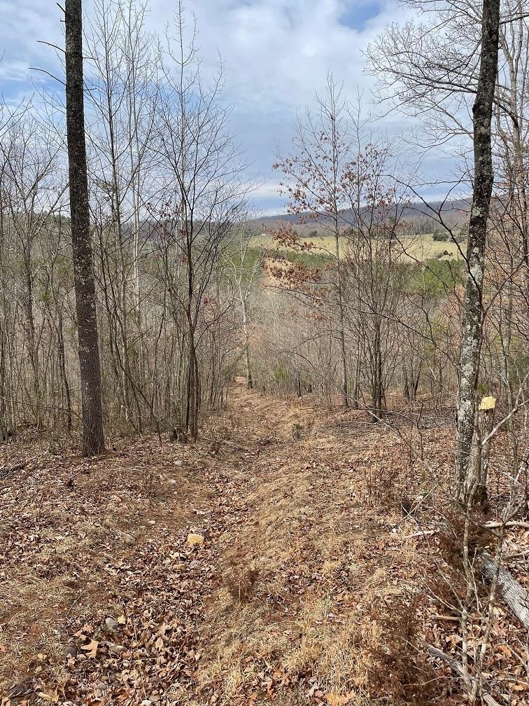70-131 ESTALINE VALLEY RD, CRAIGSVILLE, Virginia 24430, ,Land,70-131 ESTALINE VALLEY RD,642126 MLS # 642126 70-131 ESTALINE VALLEY RD, CRAIGSVILLE, Virginia 24430, ,Land,70-131 ESTALINE VALLEY RD,642126 MLS # 642126