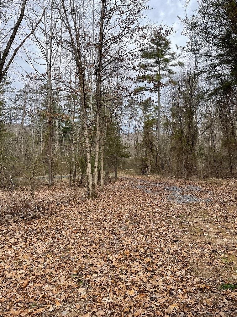 70-131 ESTALINE VALLEY RD, CRAIGSVILLE, Virginia 24430, ,Land,70-131 ESTALINE VALLEY RD,642126 MLS # 642126 70-131 ESTALINE VALLEY RD, CRAIGSVILLE, Virginia 24430, ,Land,70-131 ESTALINE VALLEY RD,642126 MLS # 642126