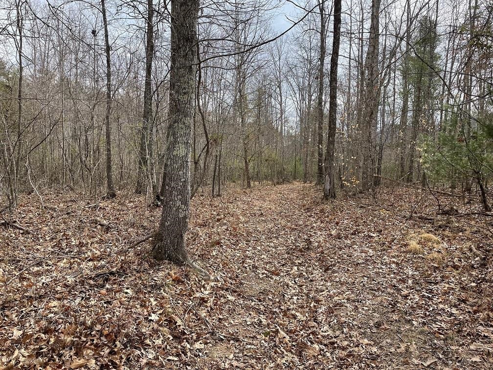 70-131 ESTALINE VALLEY RD, CRAIGSVILLE, Virginia 24430, ,Land,70-131 ESTALINE VALLEY RD,642126 MLS # 642126 70-131 ESTALINE VALLEY RD, CRAIGSVILLE, Virginia 24430, ,Land,70-131 ESTALINE VALLEY RD,642126 MLS # 642126