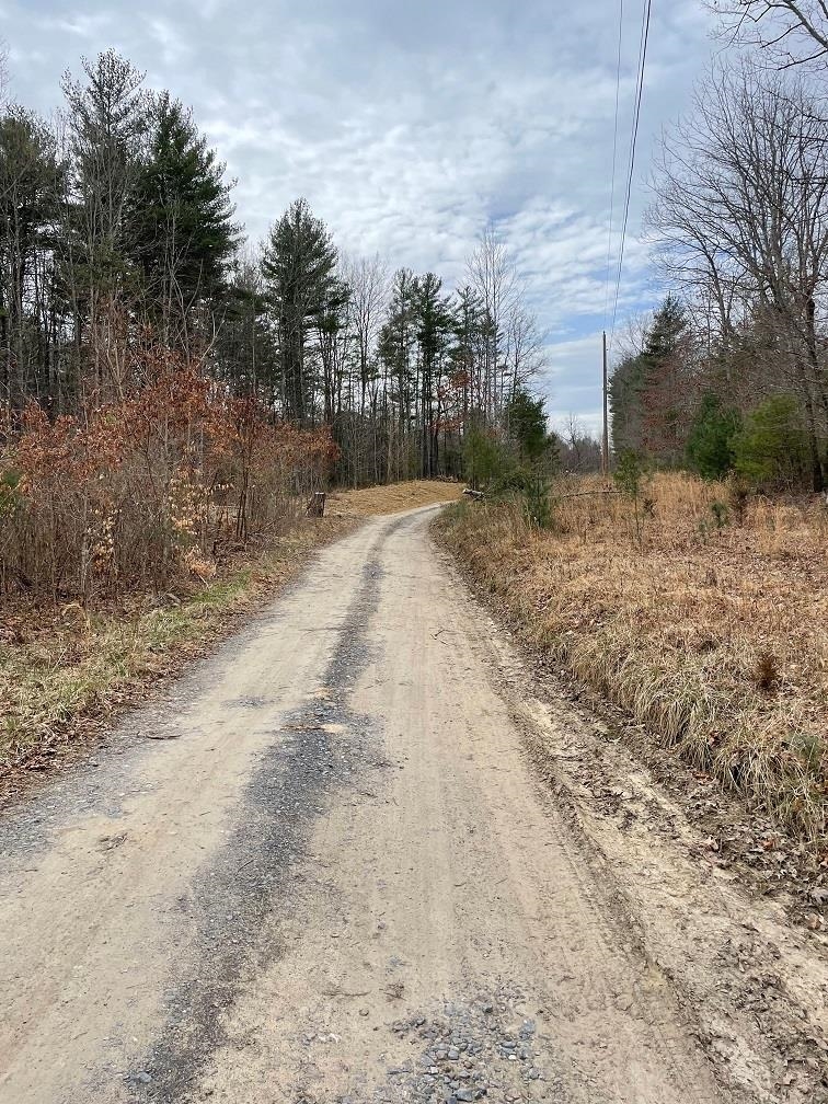 70-131 ESTALINE VALLEY RD, CRAIGSVILLE, Virginia 24430, ,Land,70-131 ESTALINE VALLEY RD,642126 MLS # 642126 70-131 ESTALINE VALLEY RD, CRAIGSVILLE, Virginia 24430, ,Land,70-131 ESTALINE VALLEY RD,642126 MLS # 642126