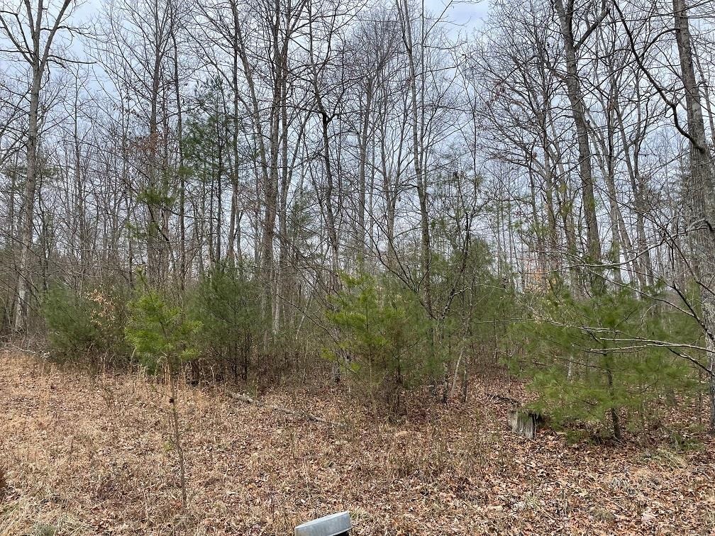 70-131 ESTALINE VALLEY RD, CRAIGSVILLE, Virginia 24430, ,Land,70-131 ESTALINE VALLEY RD,642126 MLS # 642126 70-131 ESTALINE VALLEY RD, CRAIGSVILLE, Virginia 24430, ,Land,70-131 ESTALINE VALLEY RD,642126 MLS # 642126