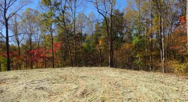 tbd Parkersburg TBD, SWOOPE, Virginia 24479, ,Land,tbd Parkersburg TBD,670290 MLS # 670290