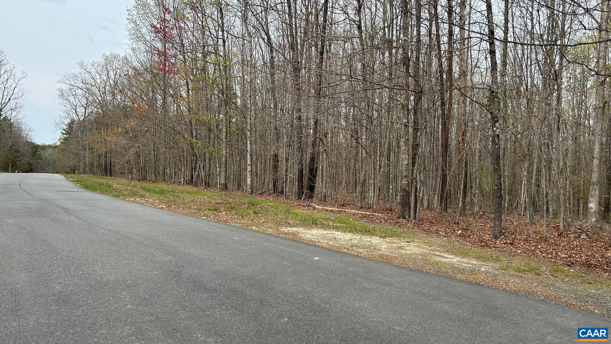 ANDERGAR LN, KENTS STORE, Virginia 23084, ,Land,Home Sweet Home,ANDERGAR LN,676205 MLS # 676205 ANDERGAR LN, KENTS STORE, Virginia 23084, ,Land,Home Sweet Home,ANDERGAR LN,676205 MLS # 676205
