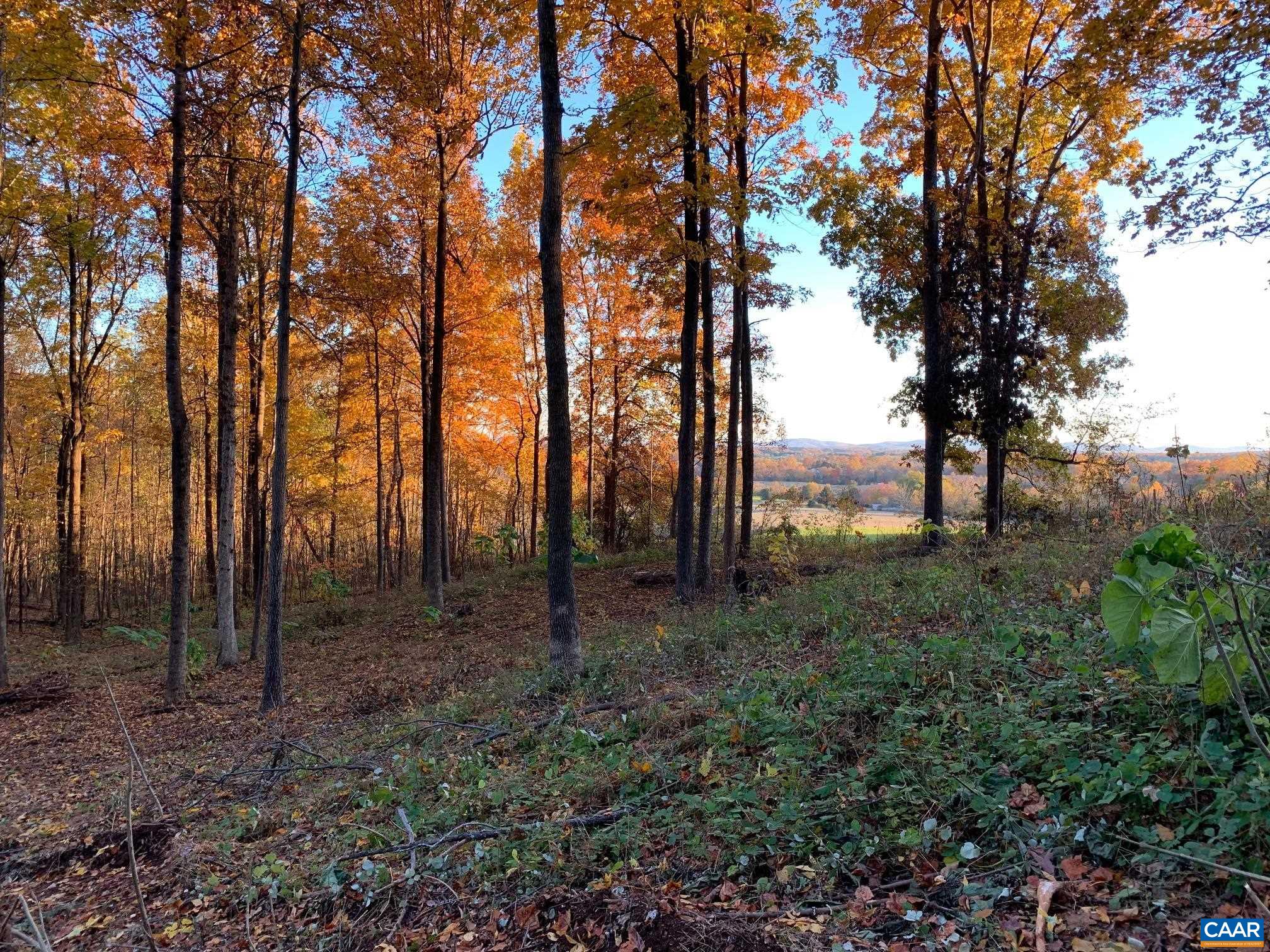 48-13o, 13v&13u COURTHOUSE MOUNTAIN RD, MADISON, Virginia 22727, ,Land,Toscana Lane,48-13o,13v&13u COURTHOUSE MOUNTAIN RD,679007 MLS # 679007 48-13o, 13v&13u COURTHOUSE MOUNTAIN RD, MADISON, Virginia 22727, ,Land,Toscana Lane,48-13o,13v&13u COURTHOUSE MOUNTAIN RD,679007 MLS # 679007