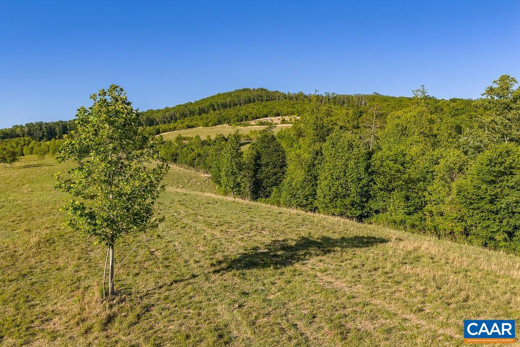 695 LAUREL RD, FABER, Virginia 22938, ,Farm,695 LAUREL RD,679017 MLS # 679017 695 LAUREL RD, FABER, Virginia 22938, ,Farm,695 LAUREL RD,679017 MLS # 679017