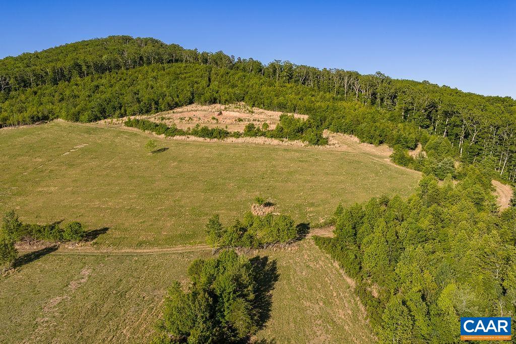 695 LAUREL RD, FABER, Virginia 22938, ,Farm,695 LAUREL RD,679017 MLS # 679017 695 LAUREL RD, FABER, Virginia 22938, ,Farm,695 LAUREL RD,679017 MLS # 679017
