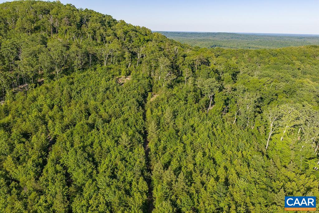 695 LAUREL RD, FABER, Virginia 22938, ,Farm,695 LAUREL RD,679017 MLS # 679017 695 LAUREL RD, FABER, Virginia 22938, ,Farm,695 LAUREL RD,679017 MLS # 679017