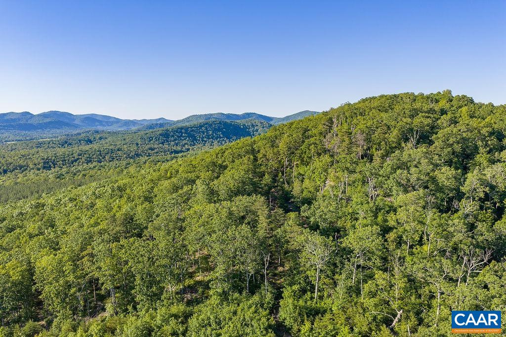 695 LAUREL RD, FABER, Virginia 22938, ,Farm,695 LAUREL RD,679017 MLS # 679017 695 LAUREL RD, FABER, Virginia 22938, ,Farm,695 LAUREL RD,679017 MLS # 679017