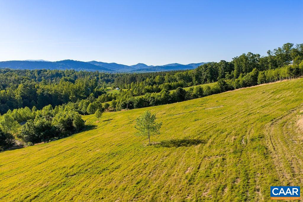 695 LAUREL RD, FABER, Virginia 22938, ,Farm,695 LAUREL RD,679017 MLS # 679017 695 LAUREL RD, FABER, Virginia 22938, ,Farm,695 LAUREL RD,679017 MLS # 679017