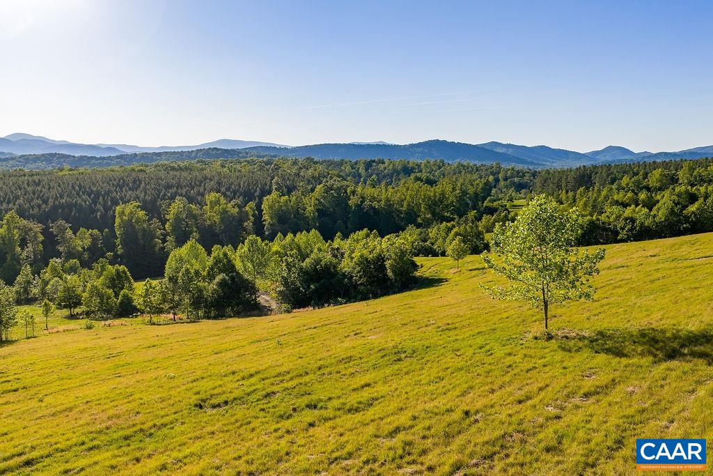 695 LAUREL RD, FABER, Virginia 22938, ,Farm,695 LAUREL RD,679017 MLS # 679017 695 LAUREL RD, FABER, Virginia 22938, ,Farm,695 LAUREL RD,679017 MLS # 679017