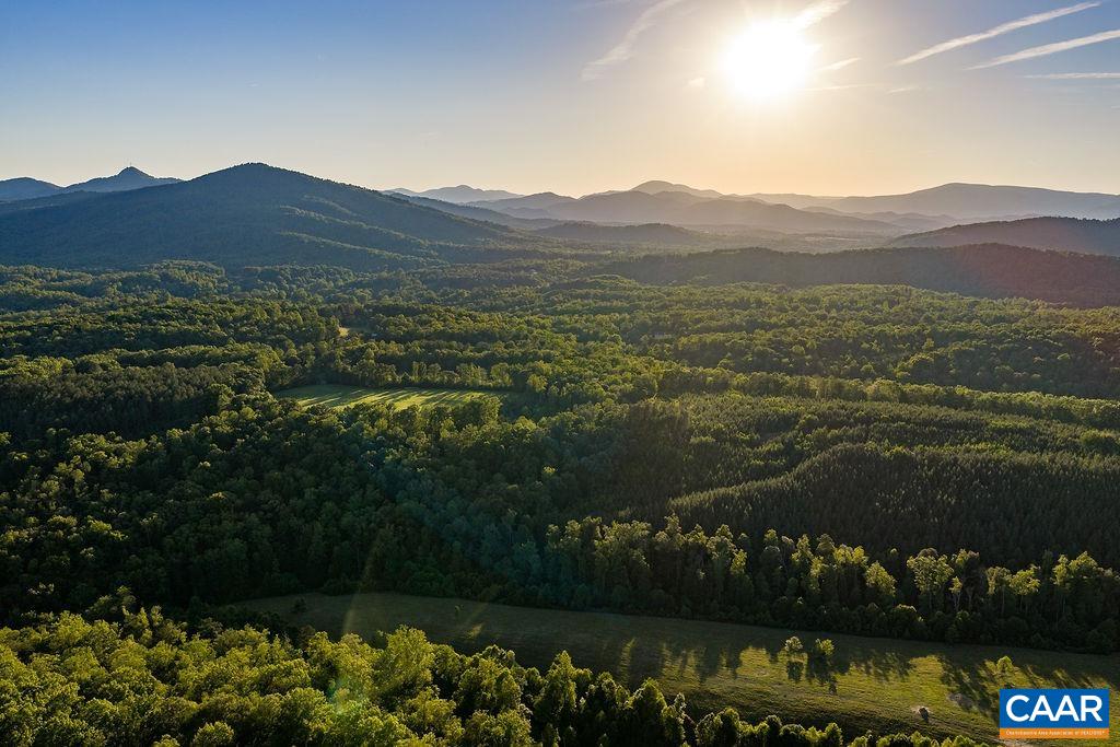 695 LAUREL RD, FABER, Virginia 22938, ,Farm,695 LAUREL RD,679017 MLS # 679017 695 LAUREL RD, FABER, Virginia 22938, ,Farm,695 LAUREL RD,679017 MLS # 679017