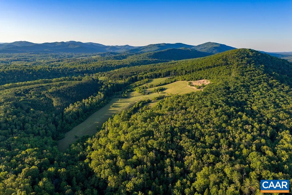 695 LAUREL RD, FABER, Virginia 22938, ,Farm,695 LAUREL RD,679017 MLS # 679017 695 LAUREL RD, FABER, Virginia 22938, ,Farm,695 LAUREL RD,679017 MLS # 679017