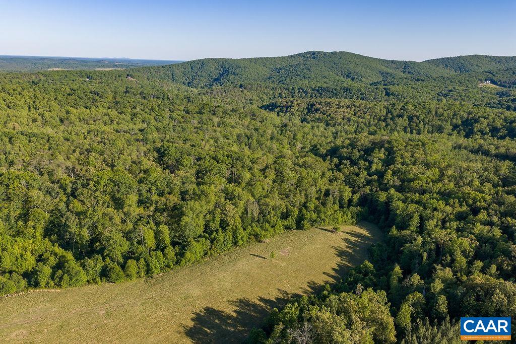 695 LAUREL RD, FABER, Virginia 22938, ,Farm,695 LAUREL RD,679017 MLS # 679017 695 LAUREL RD, FABER, Virginia 22938, ,Farm,695 LAUREL RD,679017 MLS # 679017