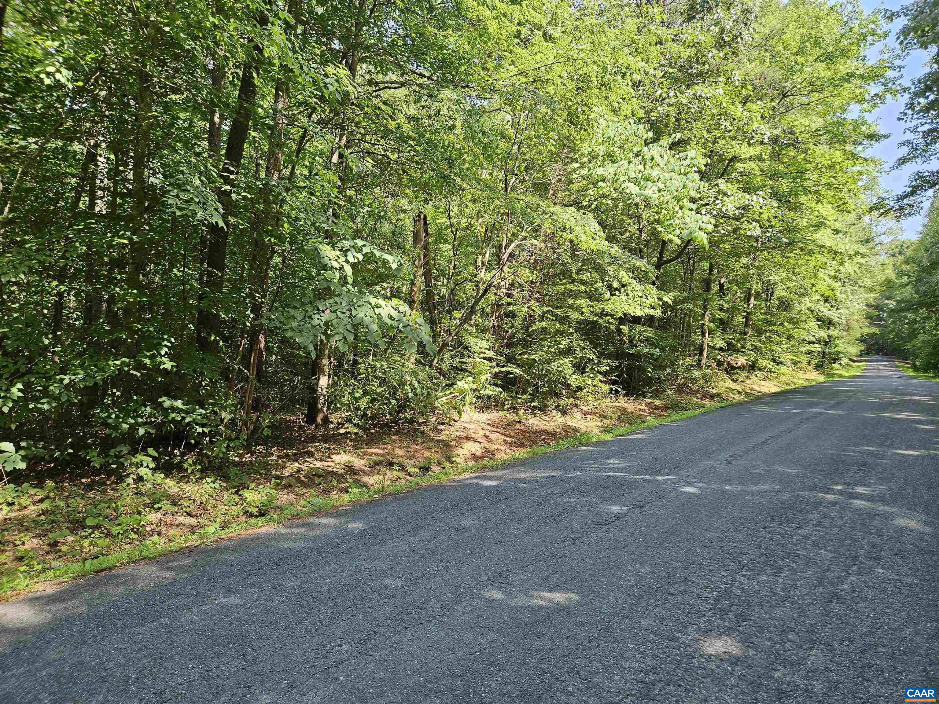 9Ac CHILDRESS RD, DILLWYN, Virginia 23936, ,Land,9Ac CHILDRESS RD,679036 MLS # 679036 9Ac CHILDRESS RD, DILLWYN, Virginia 23936, ,Land,9Ac CHILDRESS RD,679036 MLS # 679036