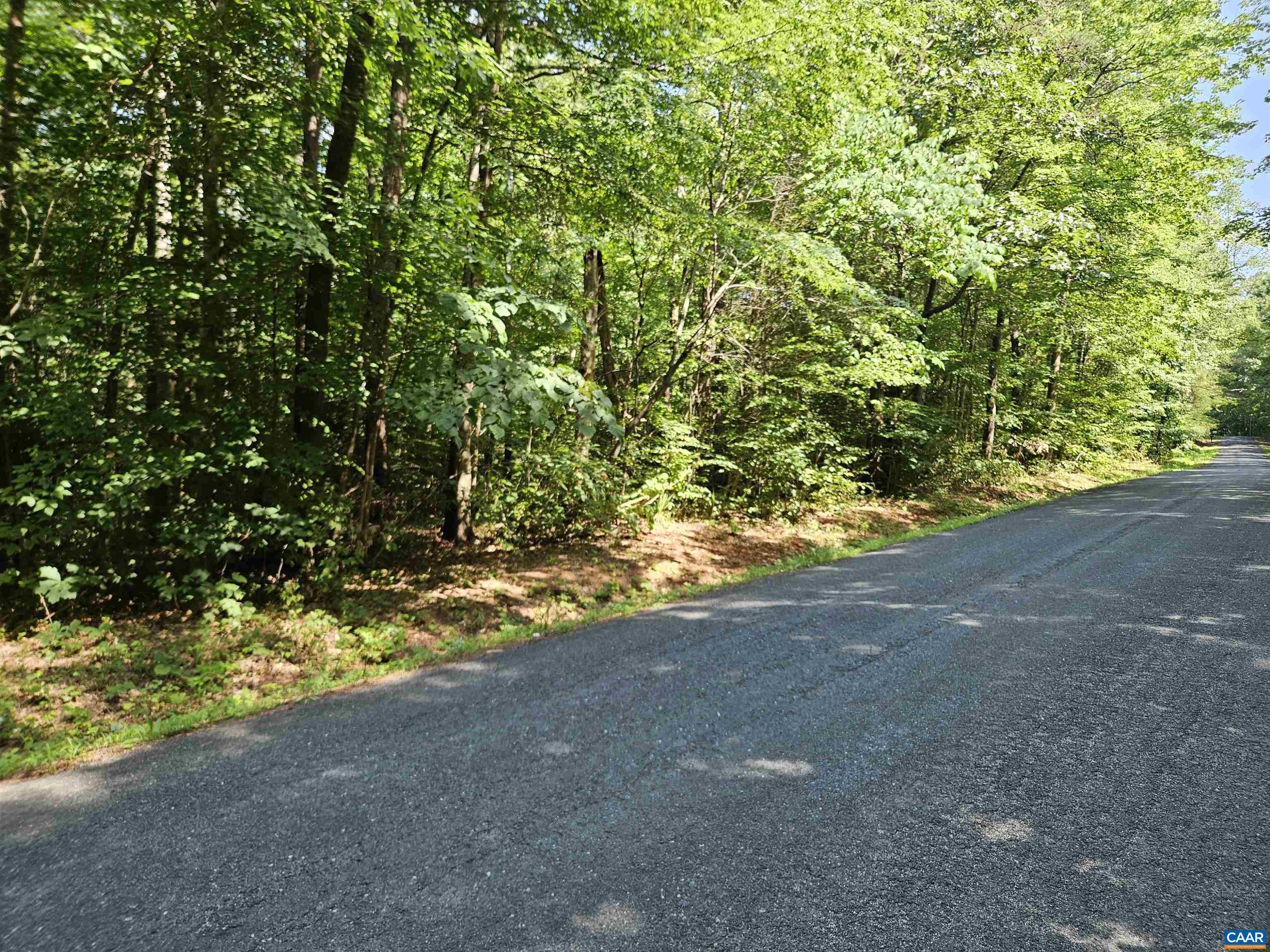 9Ac CHILDRESS RD, DILLWYN, Virginia 23936, ,Land,9Ac CHILDRESS RD,679036 MLS # 679036 9Ac CHILDRESS RD, DILLWYN, Virginia 23936, ,Land,9Ac CHILDRESS RD,679036 MLS # 679036