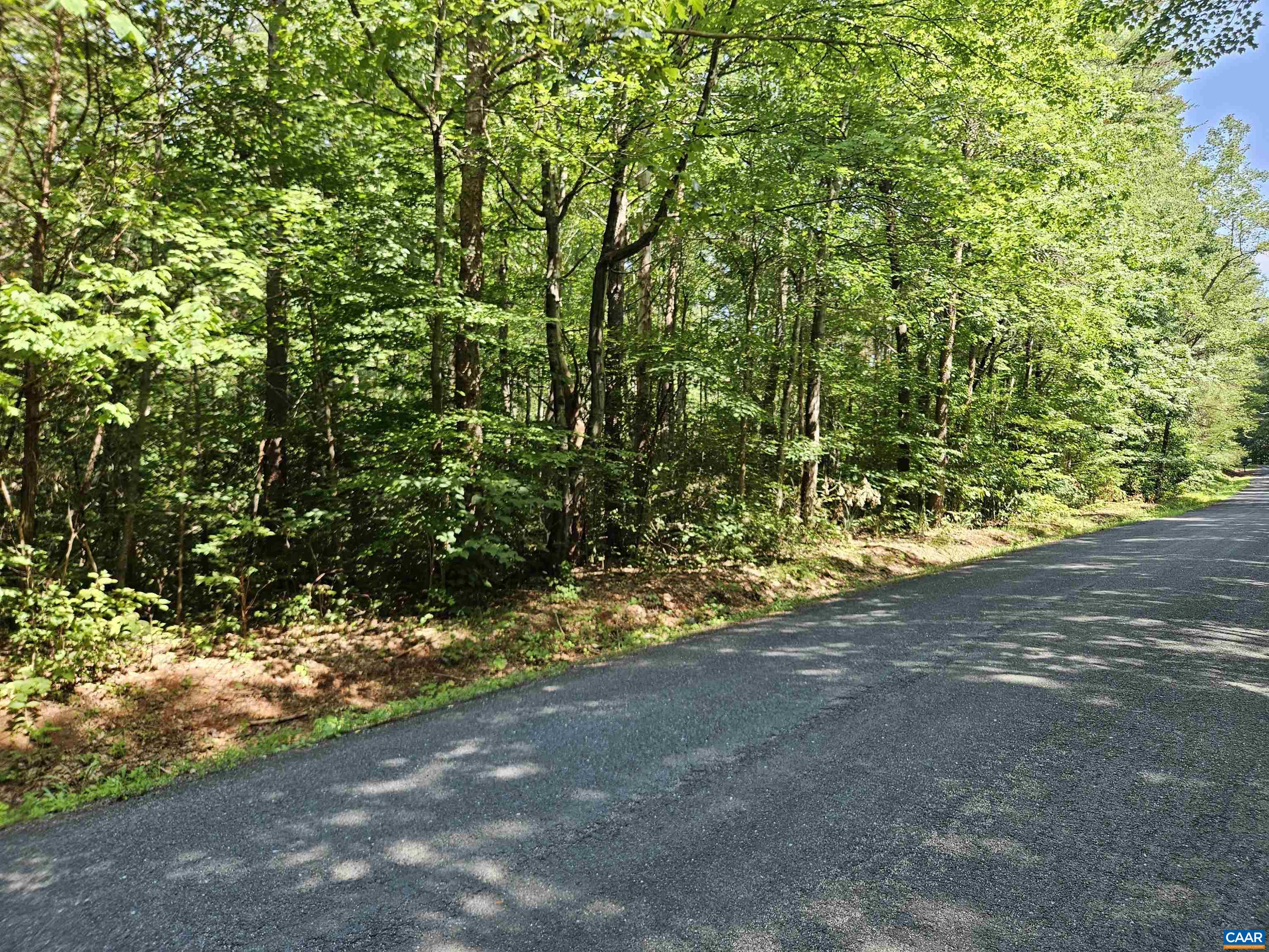 9Ac CHILDRESS RD, DILLWYN, Virginia 23936, ,Land,9Ac CHILDRESS RD,679036 MLS # 679036 9Ac CHILDRESS RD, DILLWYN, Virginia 23936, ,Land,9Ac CHILDRESS RD,679036 MLS # 679036