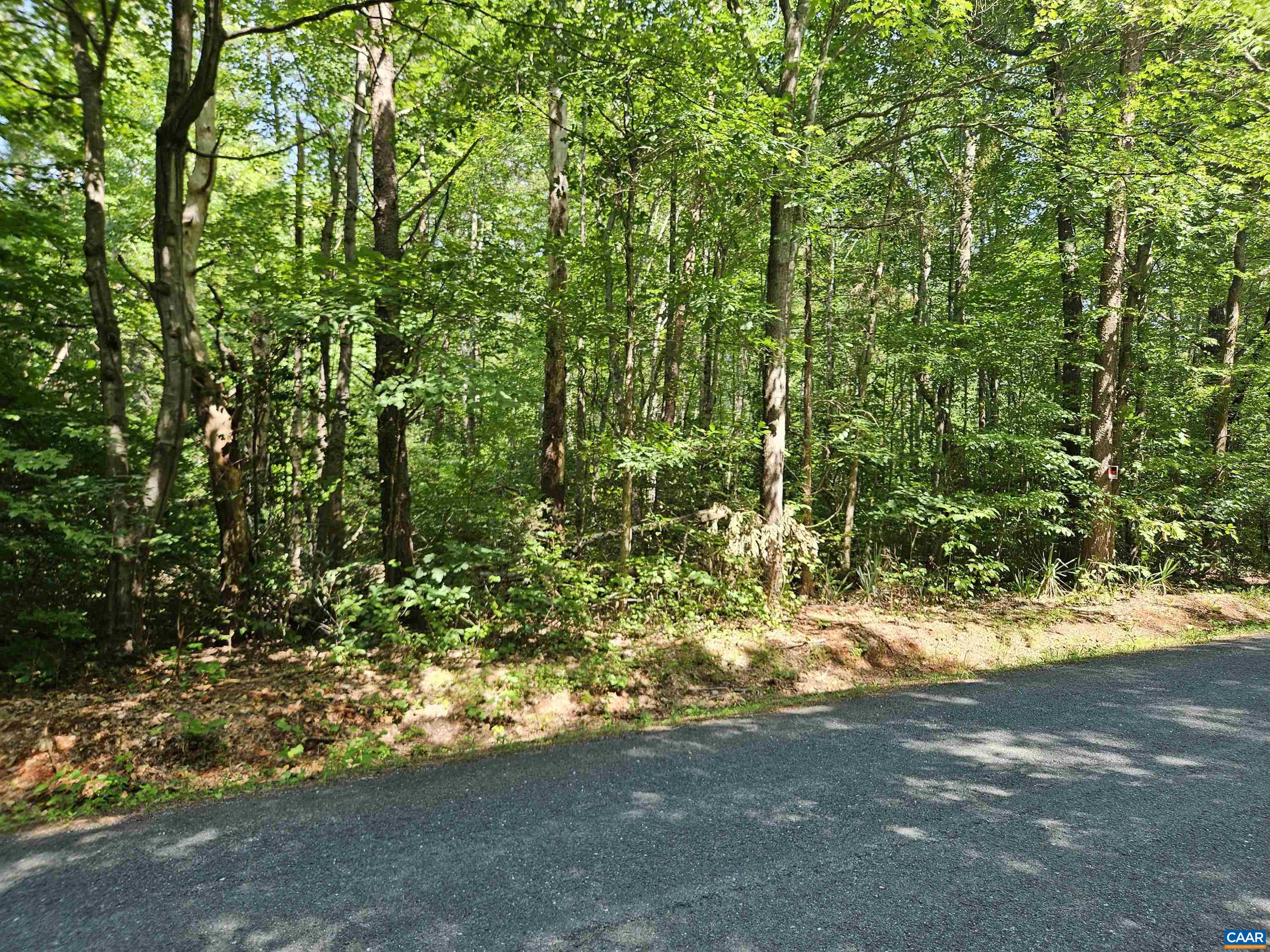 9Ac CHILDRESS RD, DILLWYN, Virginia 23936, ,Land,9Ac CHILDRESS RD,679036 MLS # 679036 9Ac CHILDRESS RD, DILLWYN, Virginia 23936, ,Land,9Ac CHILDRESS RD,679036 MLS # 679036