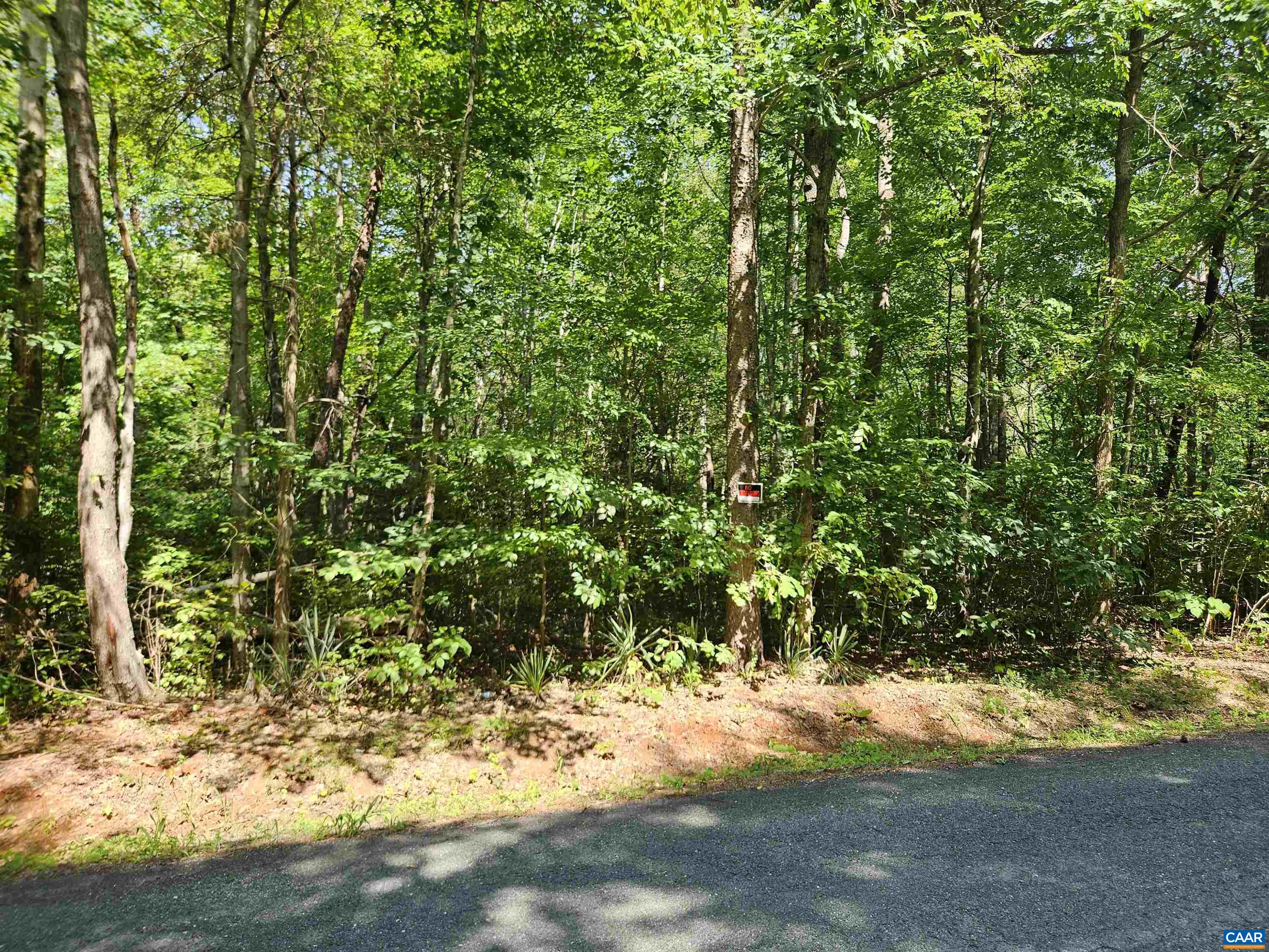 9Ac CHILDRESS RD, DILLWYN, Virginia 23936, ,Land,9Ac CHILDRESS RD,679036 MLS # 679036 9Ac CHILDRESS RD, DILLWYN, Virginia 23936, ,Land,9Ac CHILDRESS RD,679036 MLS # 679036