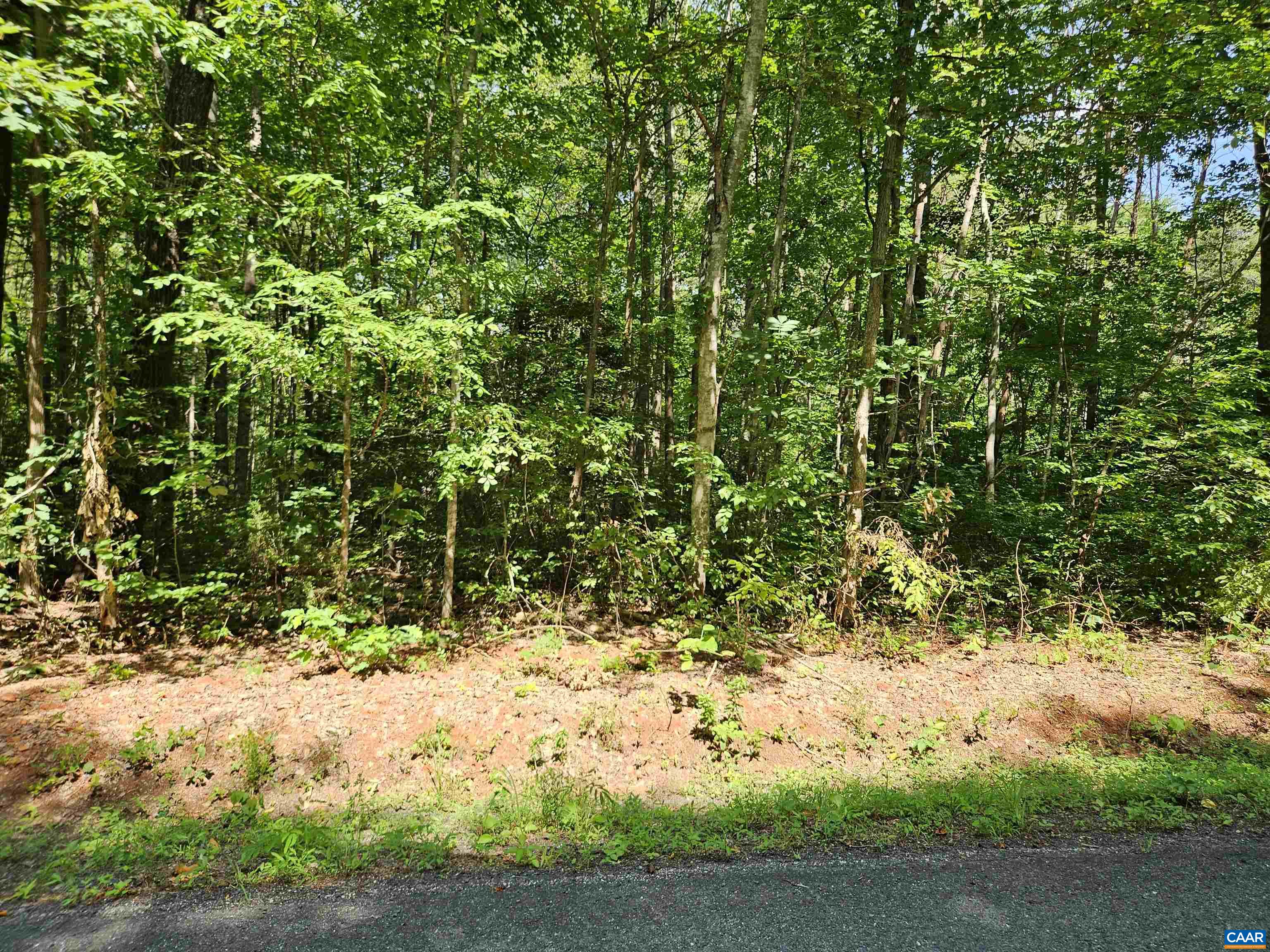 9Ac CHILDRESS RD, DILLWYN, Virginia 23936, ,Land,9Ac CHILDRESS RD,679036 MLS # 679036 9Ac CHILDRESS RD, DILLWYN, Virginia 23936, ,Land,9Ac CHILDRESS RD,679036 MLS # 679036