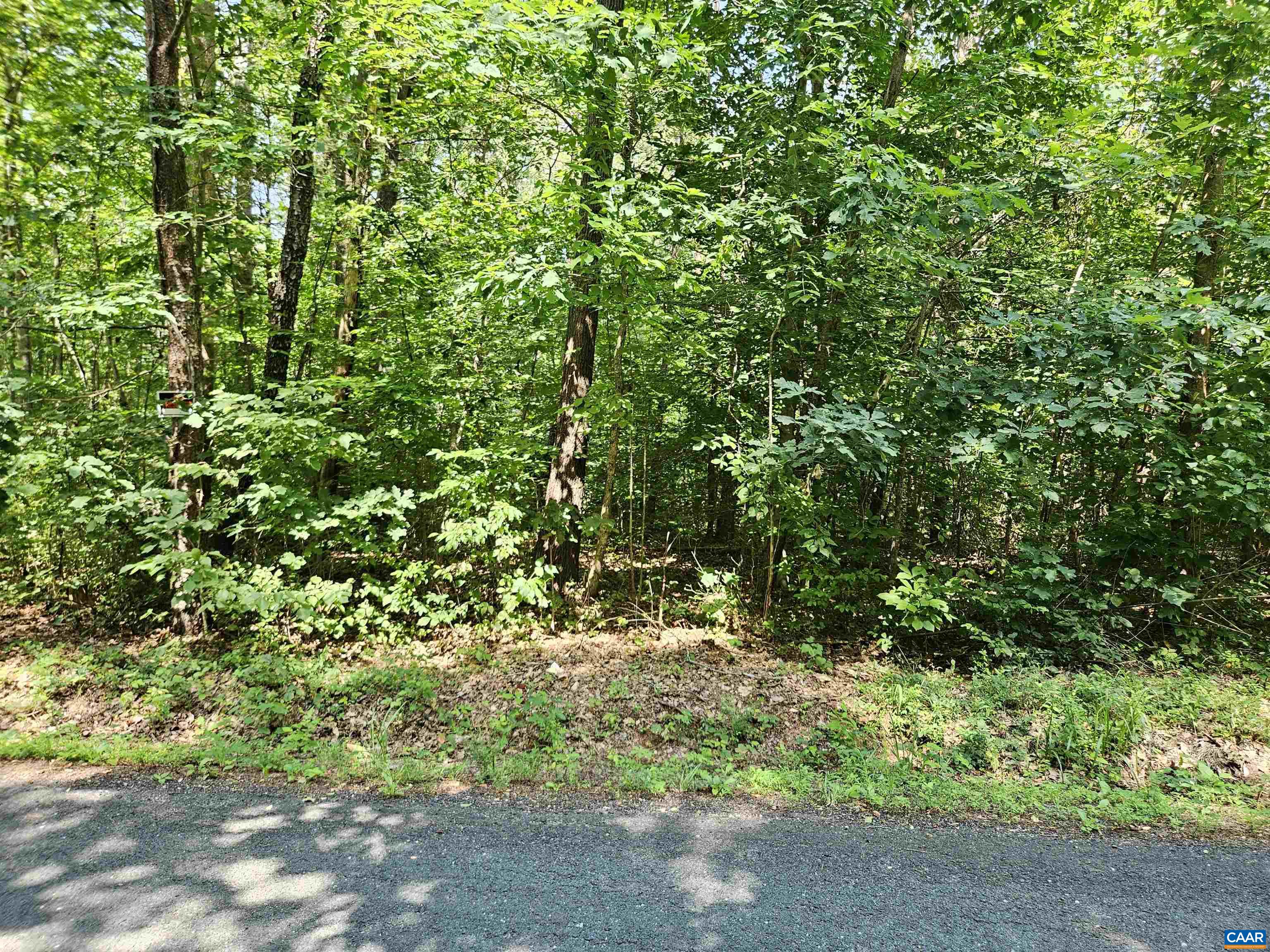 9Ac CHILDRESS RD, DILLWYN, Virginia 23936, ,Land,9Ac CHILDRESS RD,679036 MLS # 679036 9Ac CHILDRESS RD, DILLWYN, Virginia 23936, ,Land,9Ac CHILDRESS RD,679036 MLS # 679036