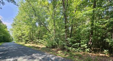 9Ac CHILDRESS RD, DILLWYN, Virginia 23936, ,Land,9Ac CHILDRESS RD,679036 MLS # 679036