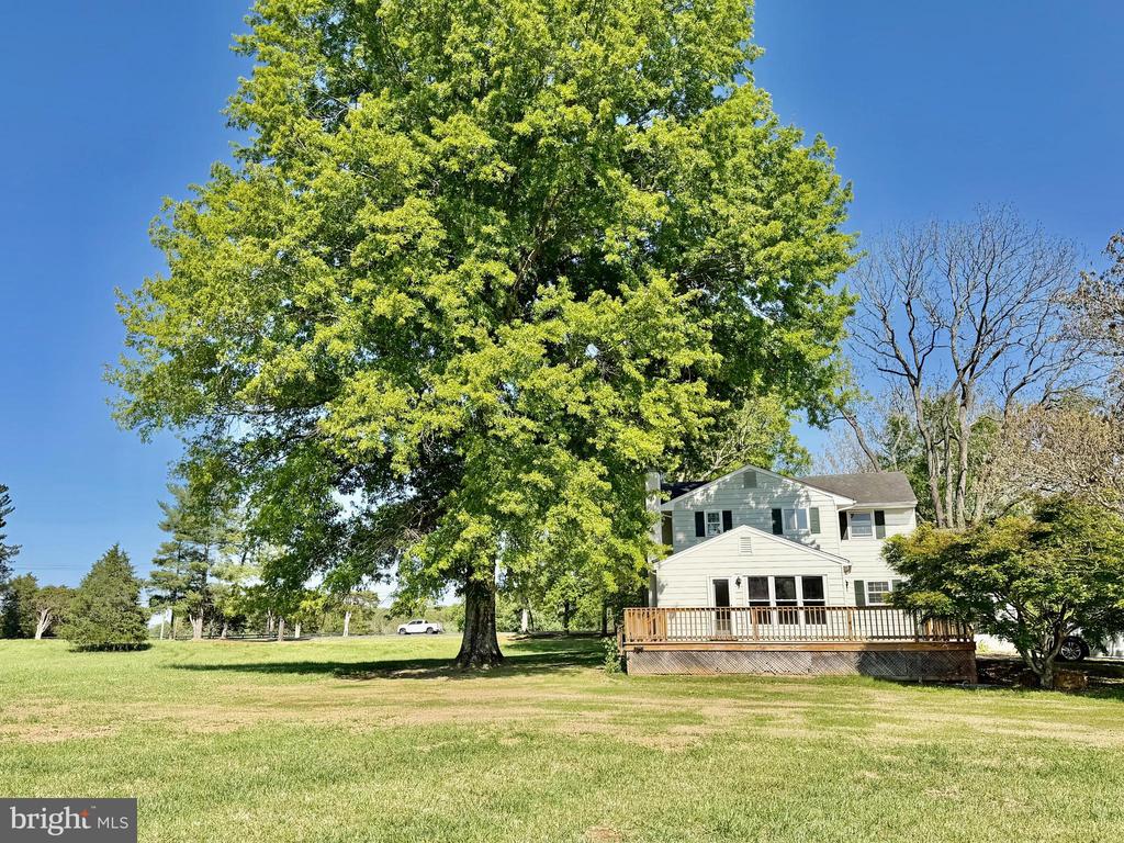 9248 SPRINGS RD, WARRENTON, Virginia 20186, 3 Bedrooms Bedrooms, ,2 BathroomsBathrooms,Residential,9248 SPRINGS RD,VAFQ2020650 MLS # VAFQ2020650 9248 SPRINGS RD, WARRENTON, Virginia 20186, 3 Bedrooms Bedrooms, ,2 BathroomsBathrooms,Residential,9248 SPRINGS RD,VAFQ2020650 MLS # VAFQ2020650