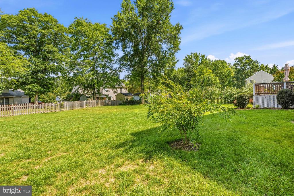11707 EXETER CT, FREDERICKSBURG, Virginia 22408, 4 Bedrooms Bedrooms, ,2 BathroomsBathrooms,Residential,11707 EXETER CT,VASP2043074 MLS # VASP2043074 11707 EXETER CT, FREDERICKSBURG, Virginia 22408, 4 Bedrooms Bedrooms, ,2 BathroomsBathrooms,Residential,11707 EXETER CT,VASP2043074 MLS # VASP2043074